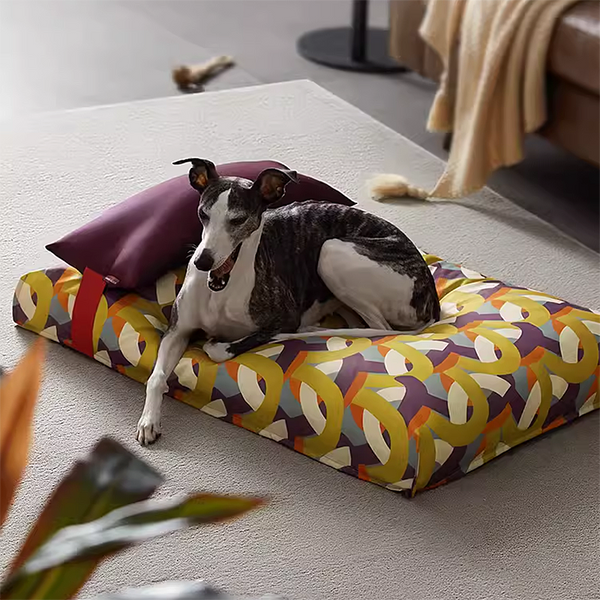 Luxury Dog Bed with Pillow