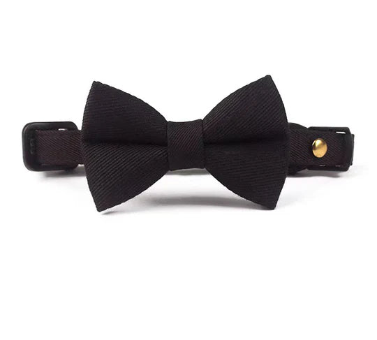 Stylish TR Cloth High Quality Cat Collars 6