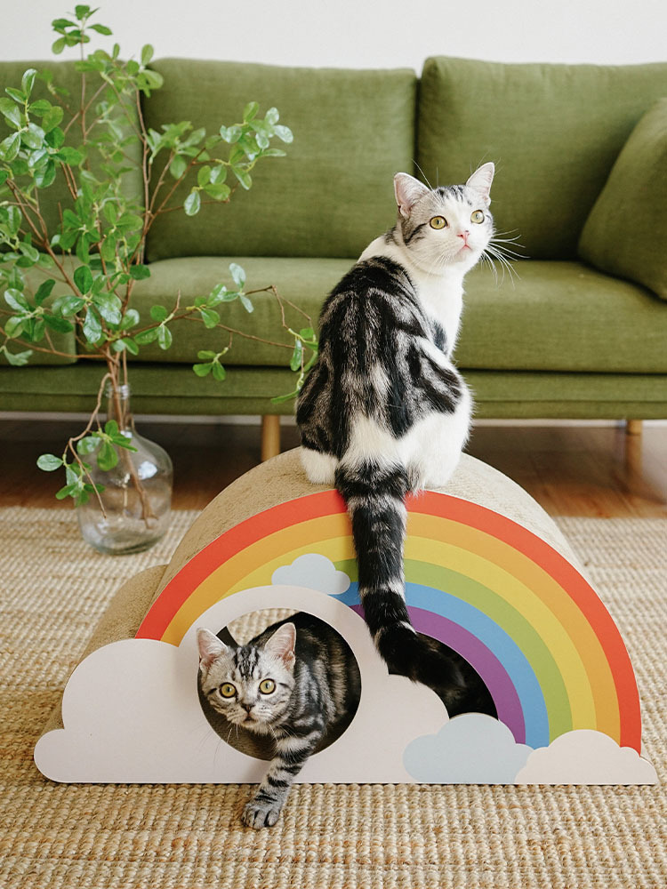 Summer Rainbow Cat Scratching Board lovepetin.com