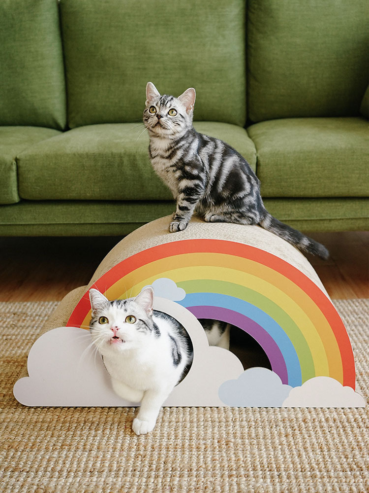 Summer Rainbow Cat Scratching Board lovepetin.com