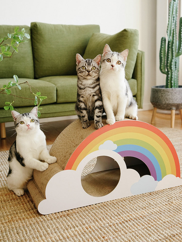 Summer Rainbow Cat Scratching Board lovepetin.com