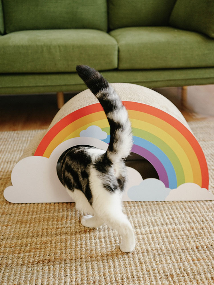 Summer Rainbow Cat Scratching Board lovepetin.com