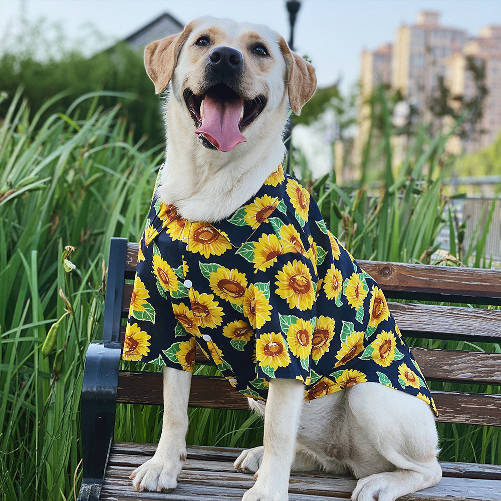 Sunflower Breathable Dog Shirt lovepetin.com