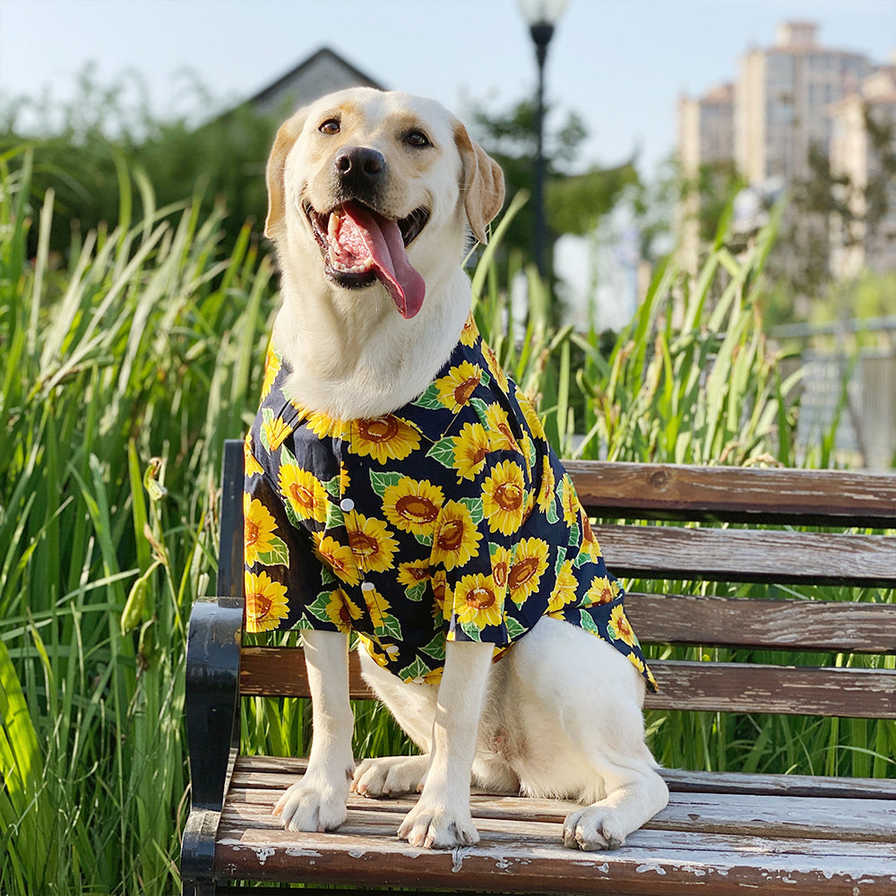 Sunflower Breathable Dog Shirt lovepetin.com