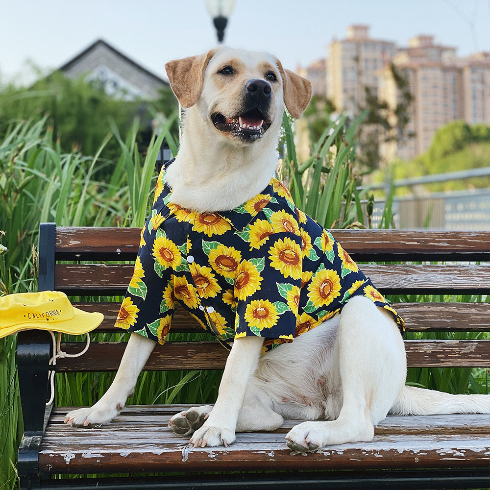 Sunflower Breathable Dog Shirt lovepetin.com