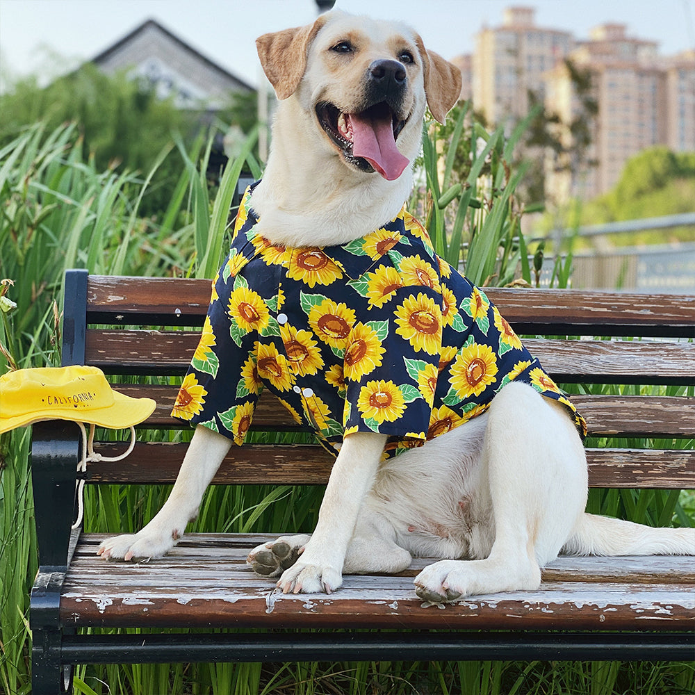 Sunflower Breathable Dog Shirt lovepetin.com