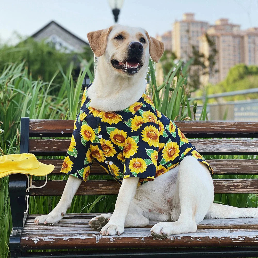 Sunflower Breathable Dog Shirt lovepetin 2
