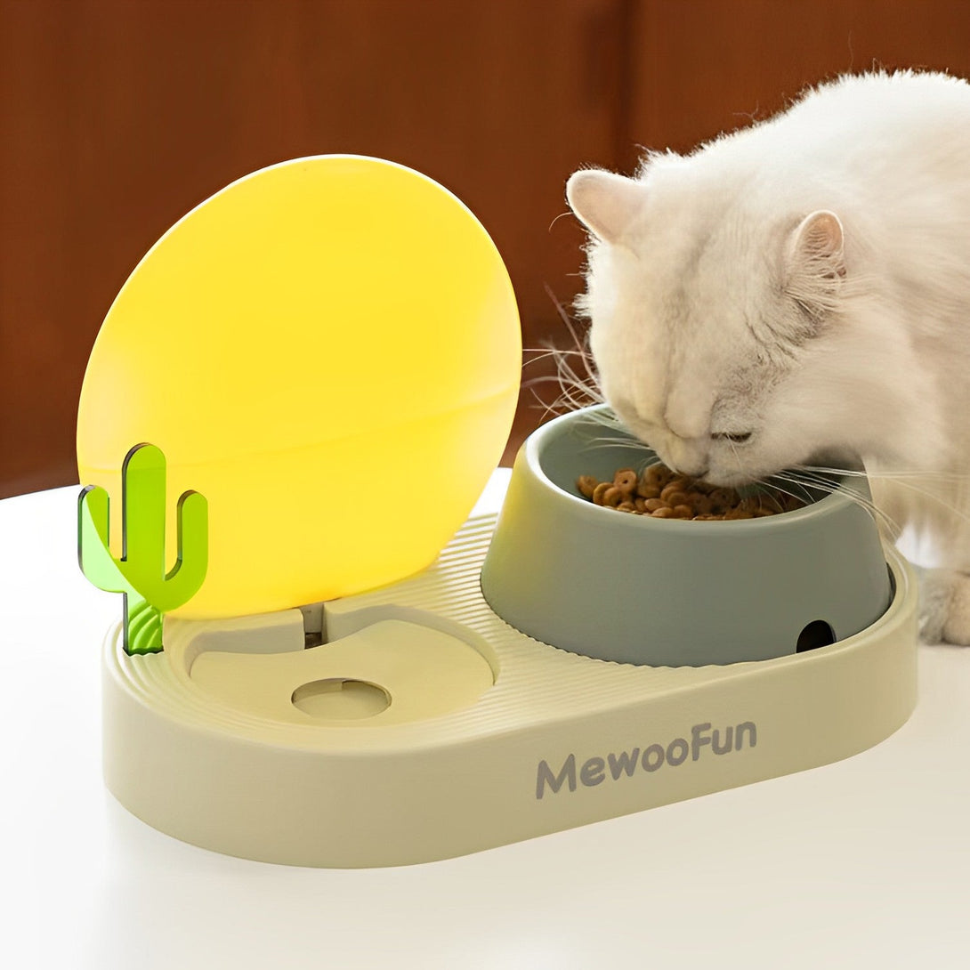 Sunset Cactus Creative Pet Food Bowl lovepetin.com