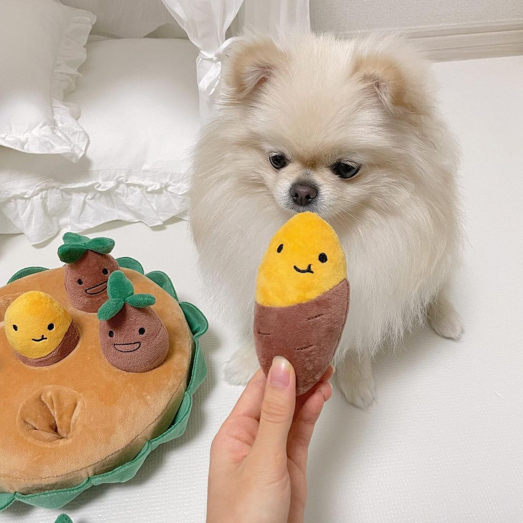 Sweet Potato Set Plush Toys with Sound lovepetin.com