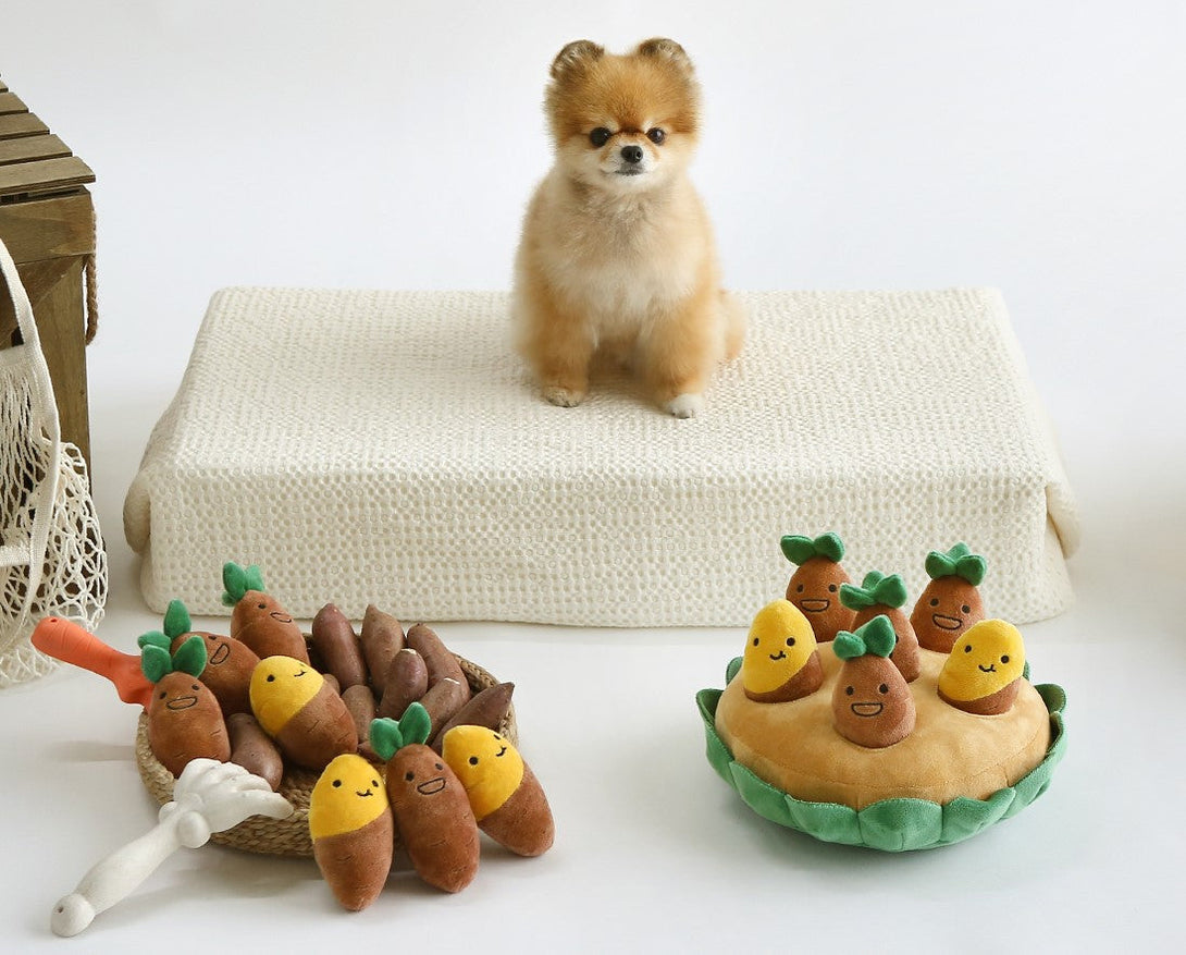 Sweet Potato Set Plush Toys with Sound lovepetin.com