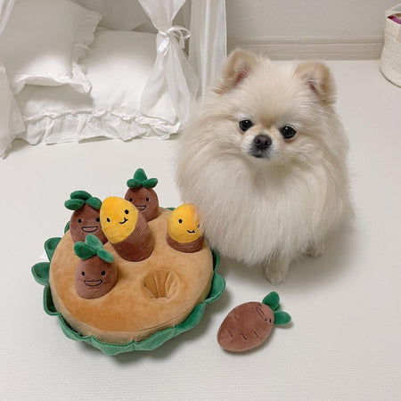 Sweet Potato Set Plush Toys with Sound lovepetin.com