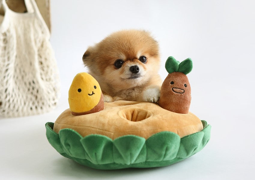 Sweet Potato Set Plush Toys with Sound lovepetin.com