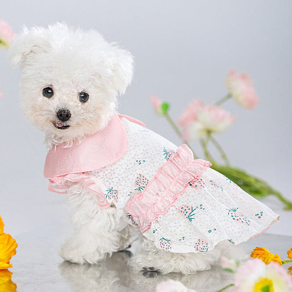 Sweet Strawberry Cute Dog Dress