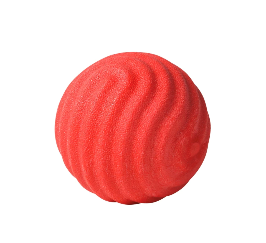 TPR Material Bite-resistant Dog Ball Toys lovepetin.com