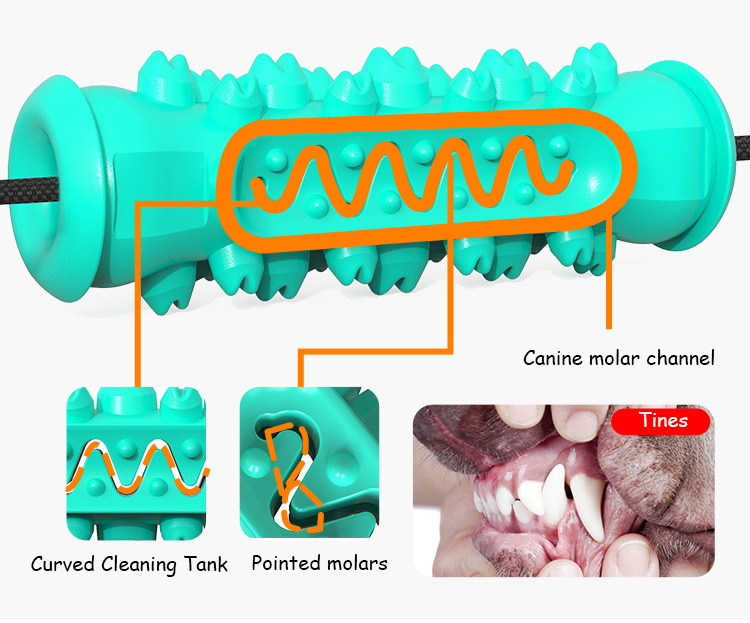 Teeth Cleaning Interactive Toy lovepetin.com