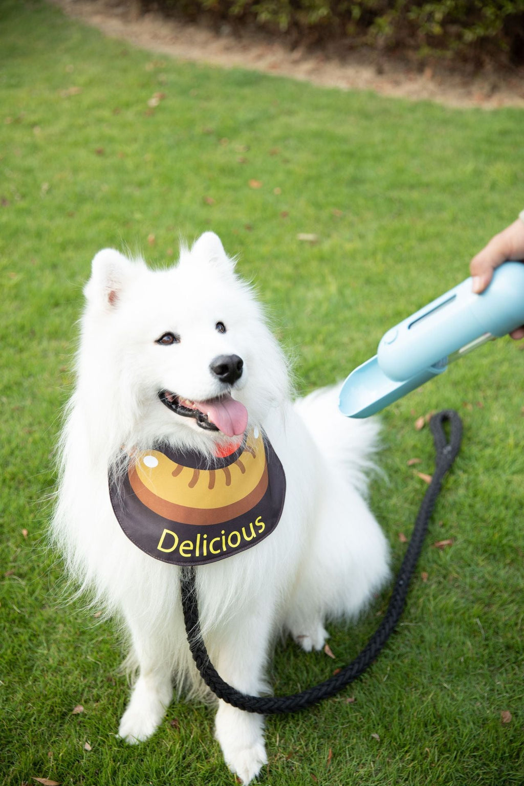 Thickening Instantaneous Absorption Dog Bandana lovepetin.com