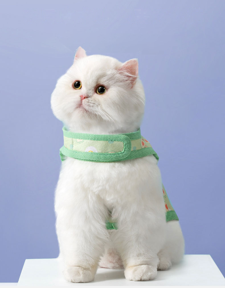 Three-color Cute Print Suede Cat Harness lovepetin.com