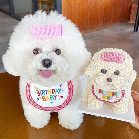 Three-color Embroidered Pet Bibs lovepetin.com