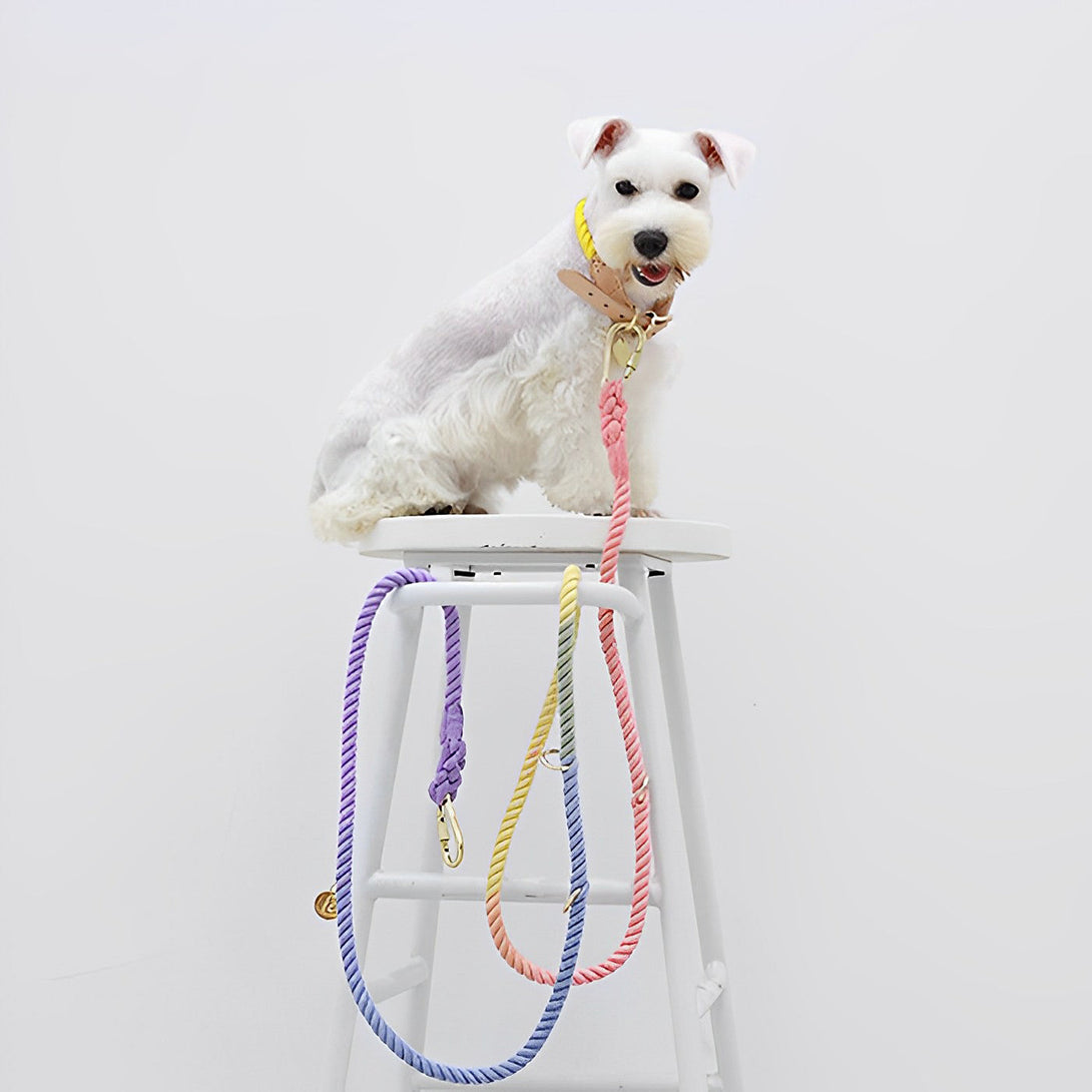 Tinklylife Rainbow Color Handy Crossbody Dog Leashes lovepetin.com