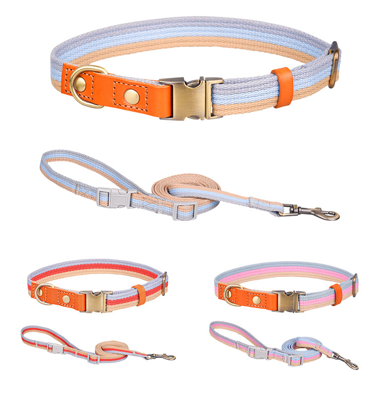 Top Layer Cowhide With Aluminum Buckle Dog Collar lovepetin.com