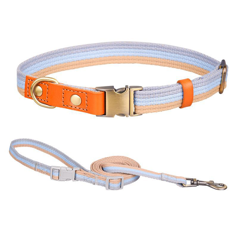 Top Layer Cowhide With Aluminum Buckle Dog Collar lovepetin.com