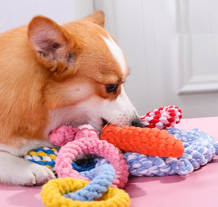 Various Styles of Chewing Rope Toy lovepetin.com