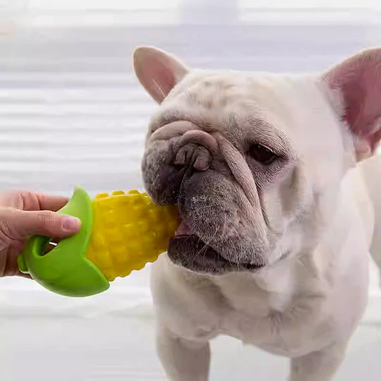 Vegetables  Durable Dog Chew Toy 5