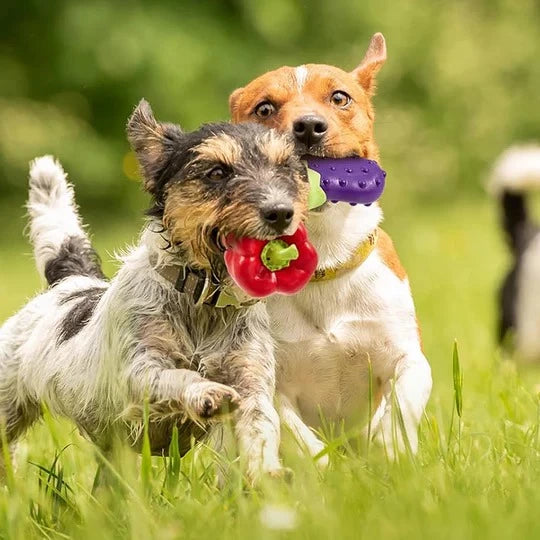 Vegetables  Durable Dog Chew Toy7