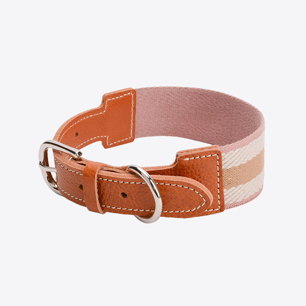 Vintage Striped Natural Cowhide Dog Collar lovepetin.com