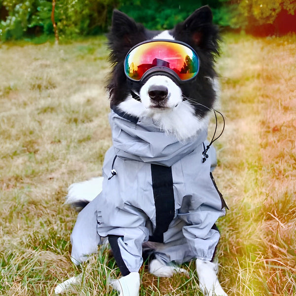 Reflective All-weather Space Coat Waterproof Dog Raincoat