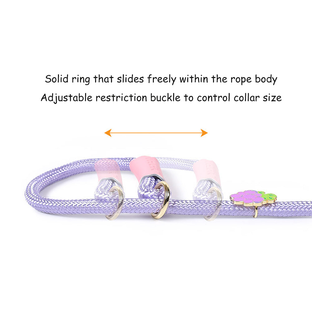 Wear-resistant Dog Leashes with Cute Metal Limit Buckles lovepetin.com