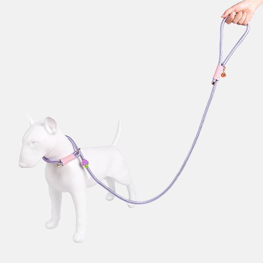 Wear-resistant Dog Leashes with Cute Metal Limit Buckles lovepetin.com