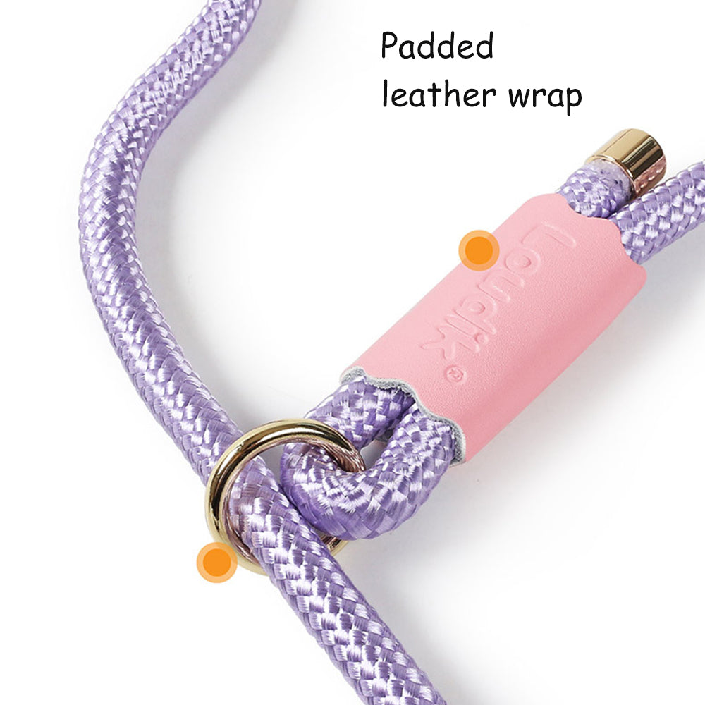 Wear-resistant Dog Leashes with Cute Metal Limit Buckles lovepetin.com