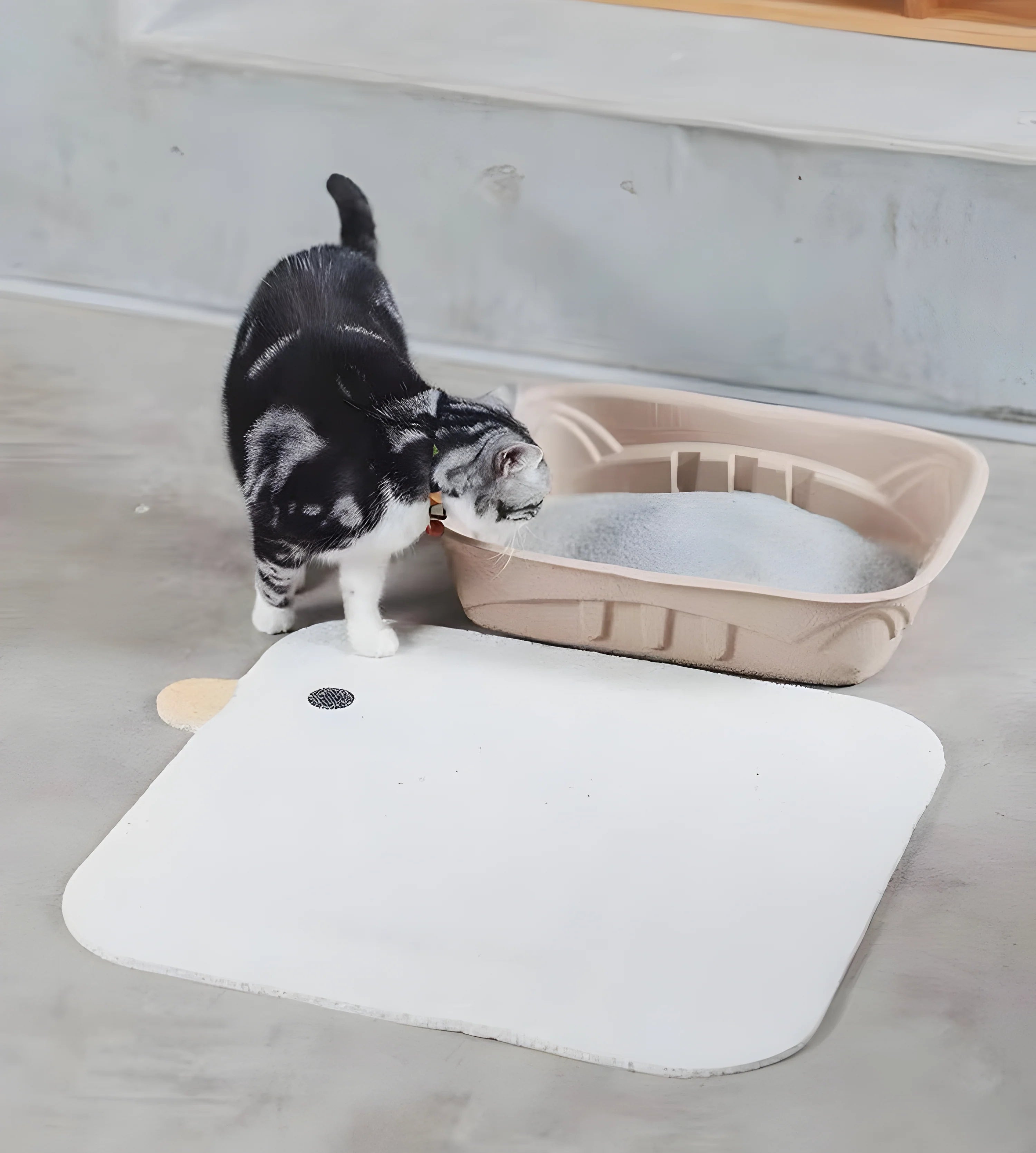 White Little Chick Cat Litter Map 5