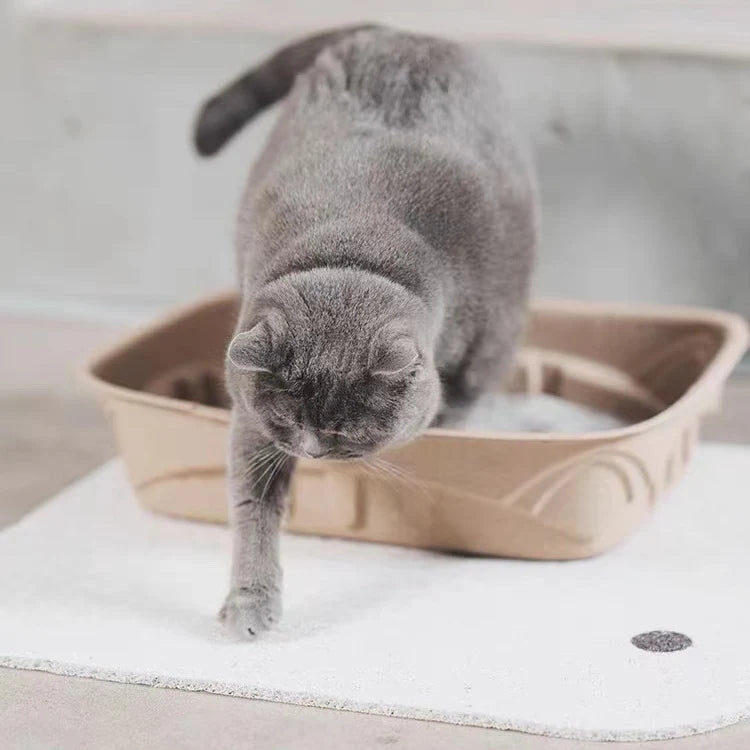 White Little Chick Cat Litter Map 2