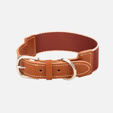 Woven Nylon Webbing Dog Collar lovepetin.com