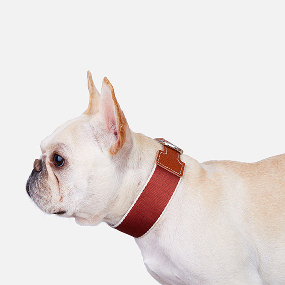 Woven Nylon Webbing Dog Collar lovepetin.com
