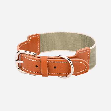 Woven Nylon Webbing Dog Collar lovepetin.com