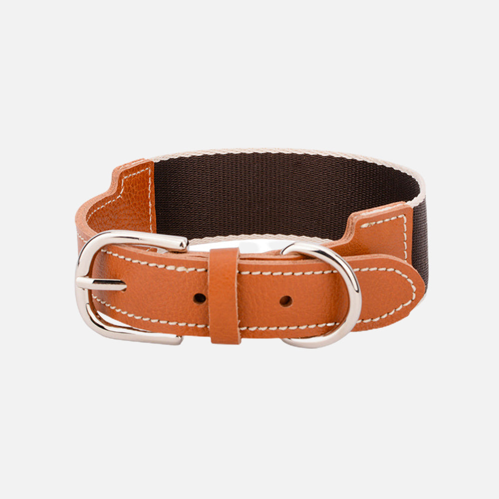 Woven Nylon Webbing Dog Collar lovepetin.com