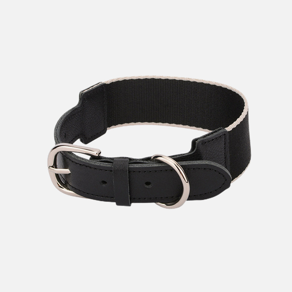 Woven Nylon Webbing Dog Collar lovepetin.com