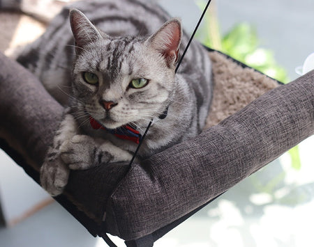 Wrapround Cat Hammock lovepetin.com