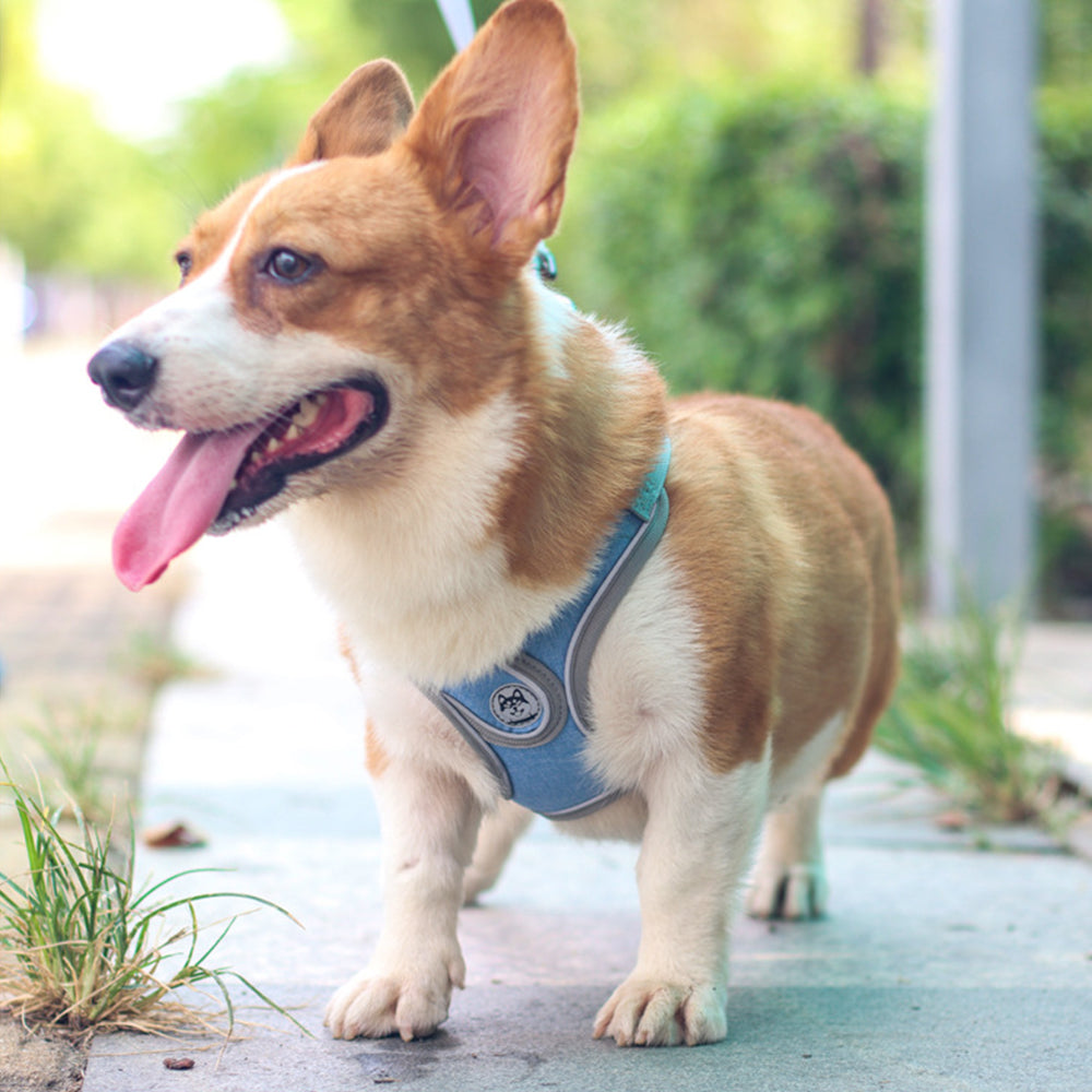 X-type Reflective Dog Harnesses lovepetin.com