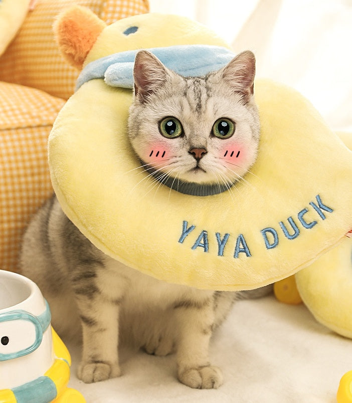 Yaya Duck E-Collar lovepetin.com