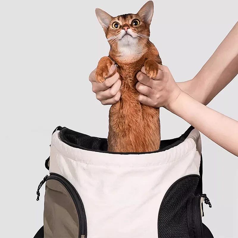 backpack pet carrier for cats​ 2