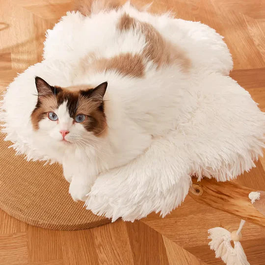 Pet Supplies,Pet Stores | Lovepetin.com