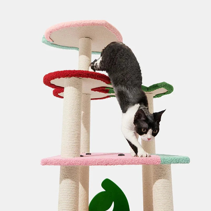 aesthetic cat tree
