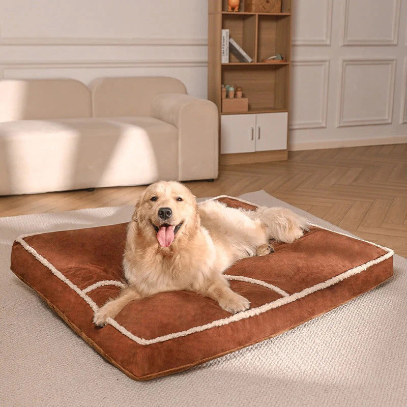 best dog beds