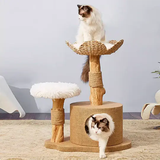 wood cat tree