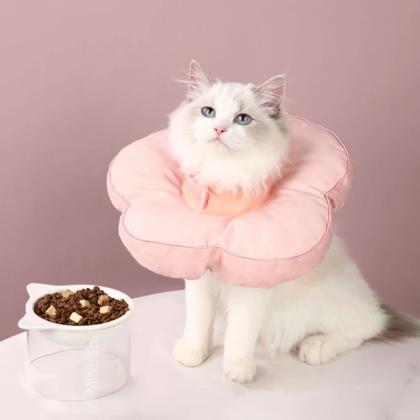 pet cones for cats 1