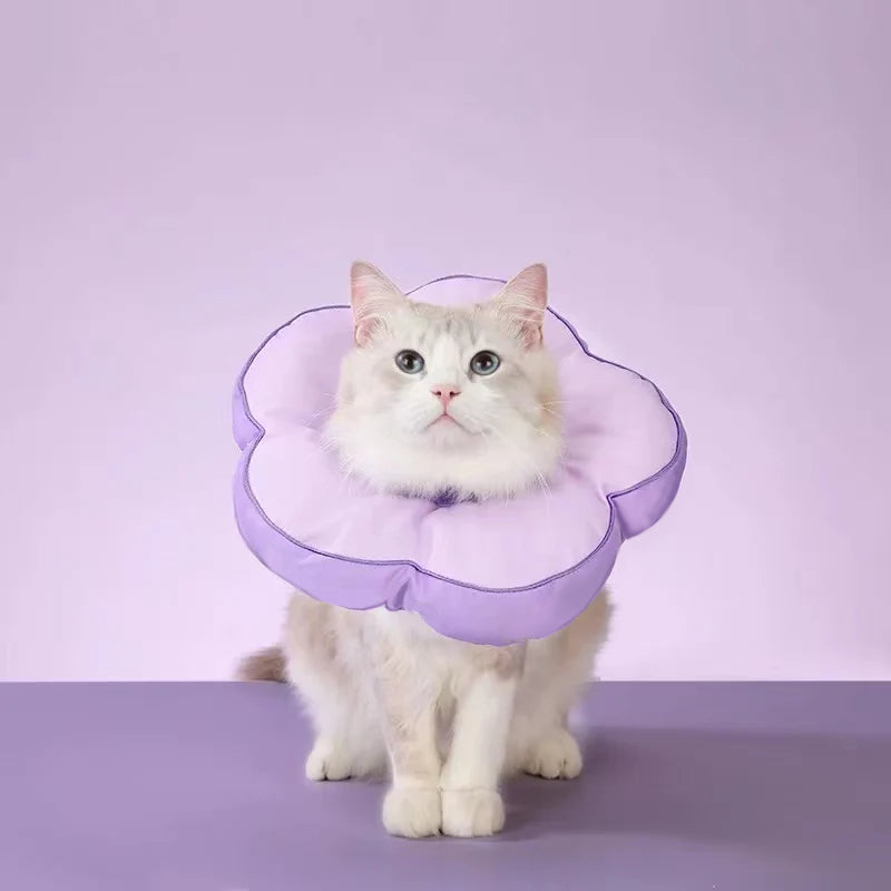 Flower Pet Cone